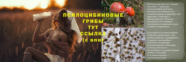 ALPHA PVP Арсеньев