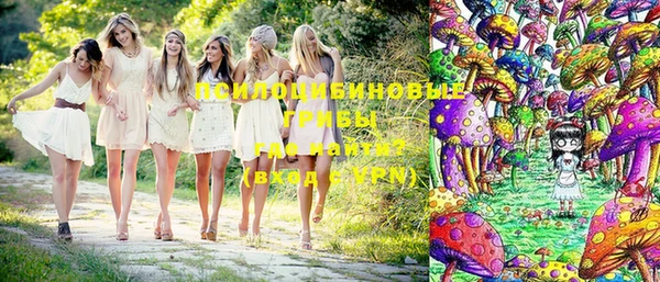 ALPHA PVP Арсеньев
